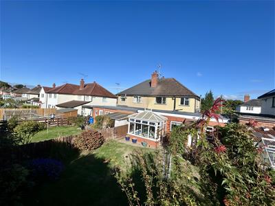 Picture 21